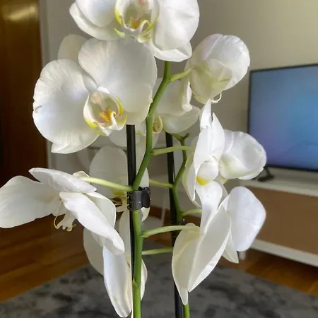 Estudio Parking Centro Puerta Del Sol Apartmán