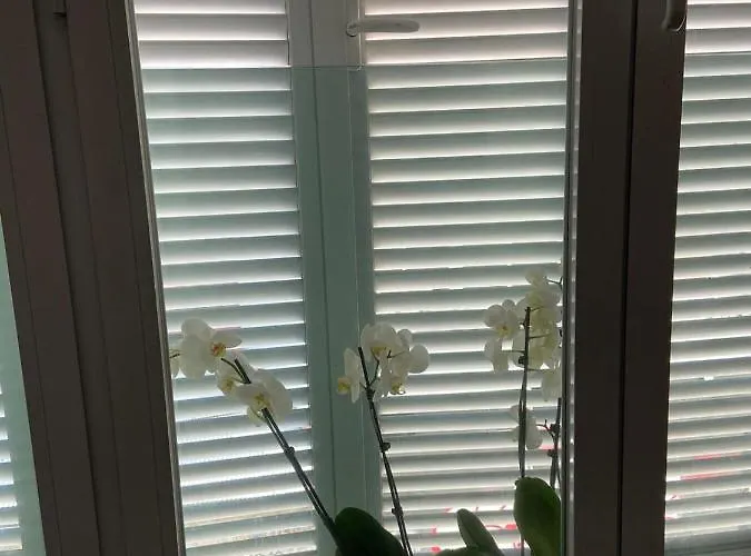 Apartmán Estudio Parking Centro Puerta Del Sol *