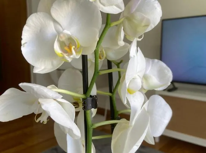 Estudio Parking Centro Puerta Del Sol Apartmán