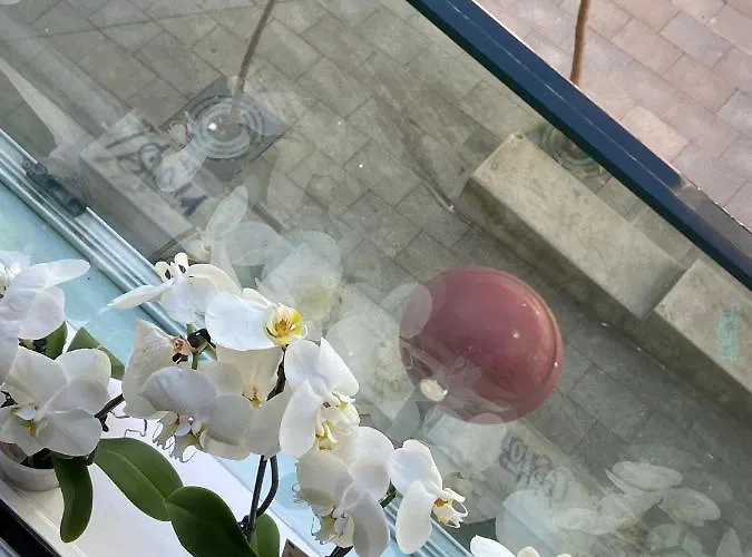 Apartmán Estudio Parking Centro Puerta Del Sol Vigo